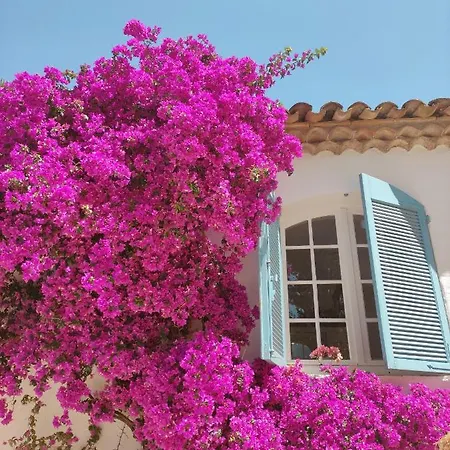 Domaine L'oiseau Bleu, 800 M From The In 别墅 圣马克西姆